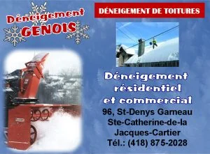 Commanditaire : Déneigement Génois