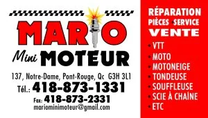 Commanditaire : Mario Mini Moteur